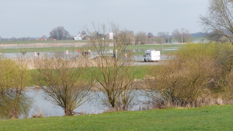 20230409_131218 (Mittel).jpg